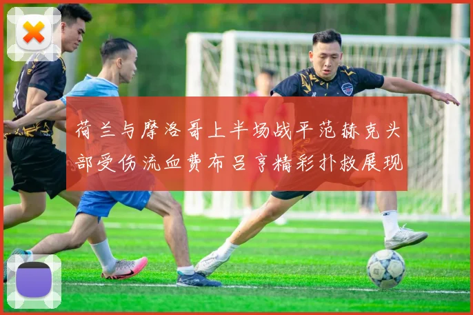 荷兰与摩洛哥上半场战平范赫克头部受伤流血费布吕亨精彩扑救展现实力